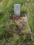 image of grave number 569502